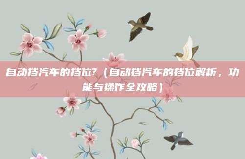 自动挡汽车的挡位?(自动挡汽车的挡位解析,功能与操作全攻略)