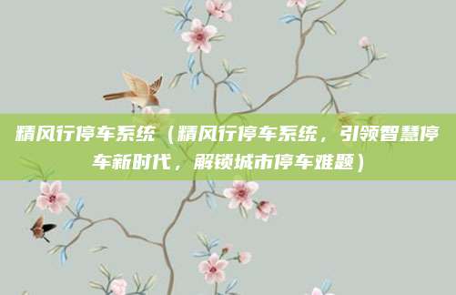 精风行停车系统(精风行停车系统,引领智慧停车新时代,解锁城市停车难题)
