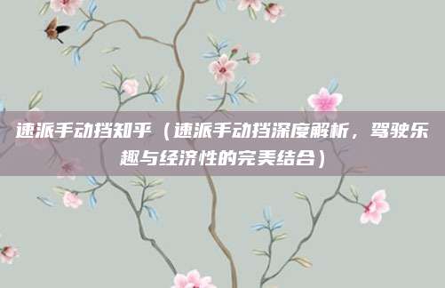 速派手动挡知乎(速派手动挡深度解析,驾驶乐趣与经济性的完美结合)