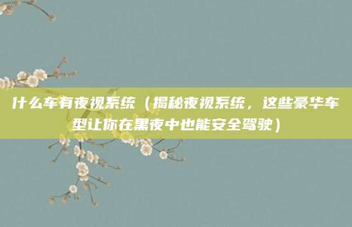 什么车有夜视系统(揭秘夜视系统,这些豪华车型让你在黑夜中也能安全驾驶)