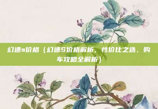 幻速s价格(幻速S价格解析,性价比之选,购车攻略全解析)