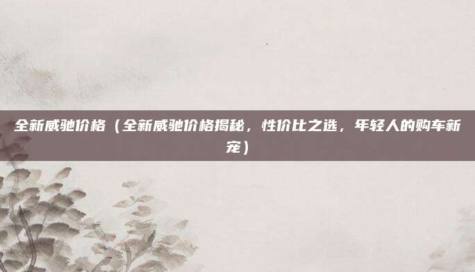 全新威驰价格(全新威驰价格揭秘,性价比之选,年轻人的购车新宠)