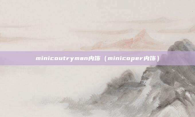 minicoutryman内饰(minicoper内饰)