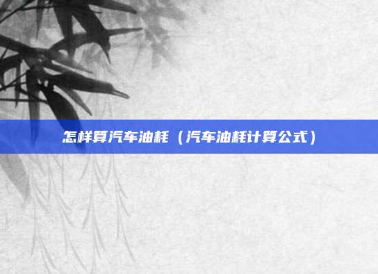 怎样算汽车油耗(汽车油耗计算公式)