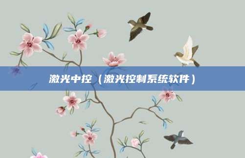 激光中控(激光控制系统软件)