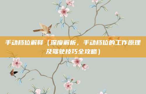 手动档位解释(深度解析,手动档位的工作原理及驾驶技巧全攻略)