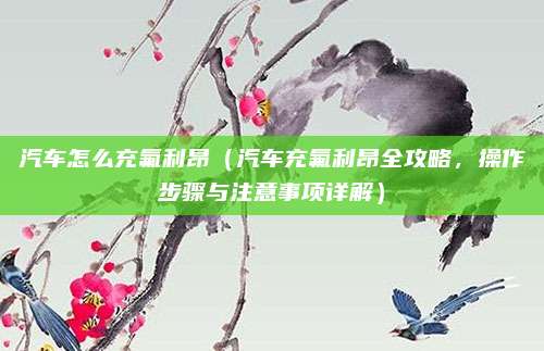 汽车怎么充氟利昂(汽车充氟利昂全攻略,操作步骤与注意事项详解)