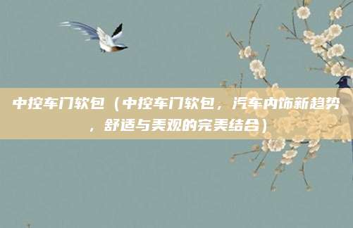 中控车门软包(中控车门软包,汽车内饰新趋势,舒适与美观的完美结合)