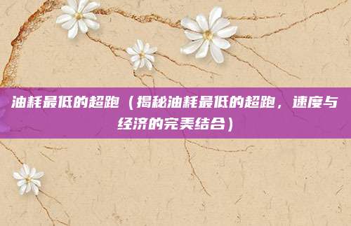 油耗最低的超跑(揭秘油耗最低的超跑,速度与经济的完美结合)