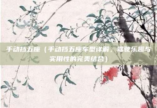 手动挡五座(手动挡五座车型详解,驾驶乐趣与实用性的完美结合)