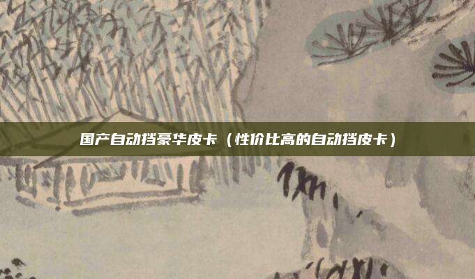 国产自动挡豪华皮卡(性价比高的自动挡皮卡)