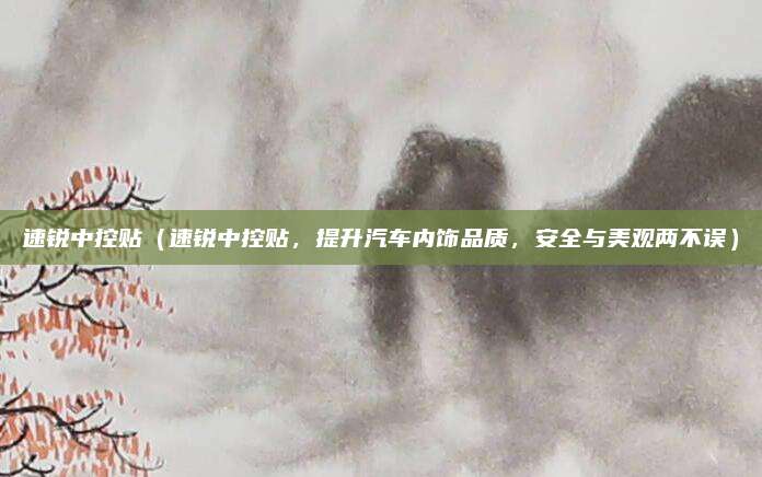 速锐中控贴(速锐中控贴,提升汽车内饰品质,安全与美观两不误)
