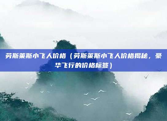 劳斯莱斯小飞人价格(劳斯莱斯小飞人价格揭秘,豪华飞行的价格标签)