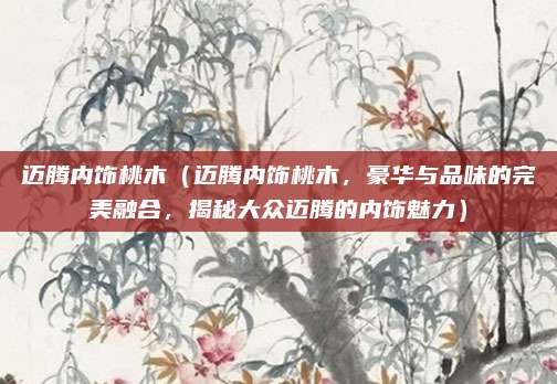 迈腾内饰桃木(迈腾内饰桃木,豪华与品味的完美融合,揭秘大众迈腾的内饰魅力)