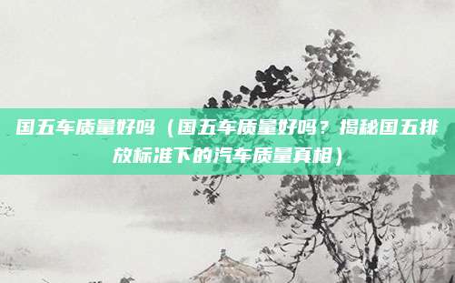 国五车质量好吗(国五车质量好吗?揭秘国五排放标准下的汽车质量真相)