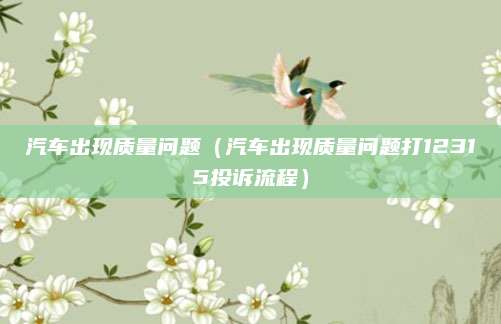 汽车出现质量问题(汽车出现质量问题打12315投诉流程)
