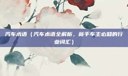 汽车术语(汽车术语全解析,新手车主必知的行业词汇)