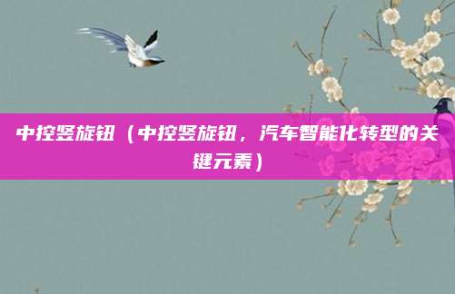 中控竖旋钮(中控竖旋钮,汽车智能化转型的关键元素)