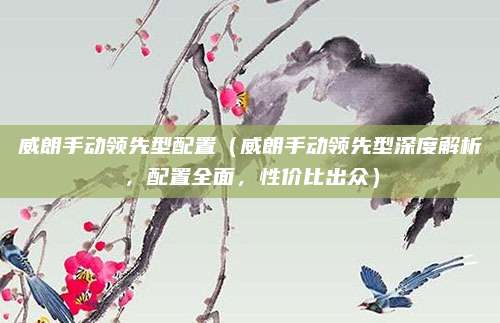 威朗手动领先型配置(威朗手动领先型深度解析,配置全面,性价比出众)