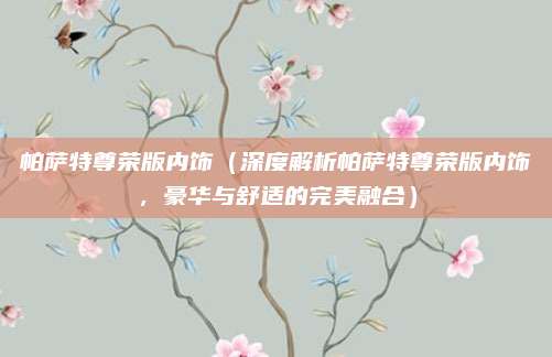 帕萨特尊荣版内饰(深度解析帕萨特尊荣版内饰,豪华与舒适的完美融合)