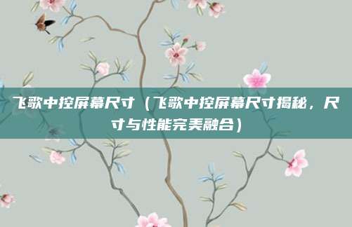 飞歌中控屏幕尺寸（飞歌中控屏幕尺寸揭秘，尺寸与性能完美融合）