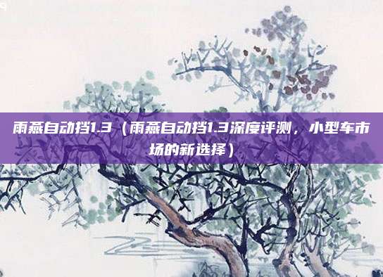 雨燕自动挡1.3（雨燕自动挡1.3深度评测，小型车市场的新选择）