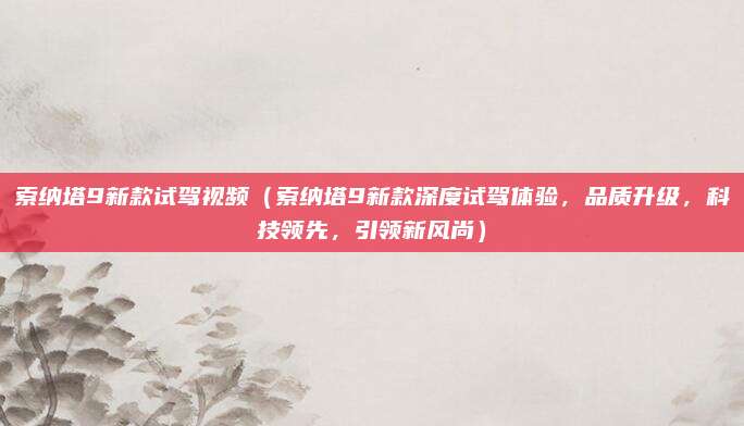 索纳塔9新款试驾视频(索纳塔9新款深度试驾体验,品质升级,科技领先,引领新风尚)