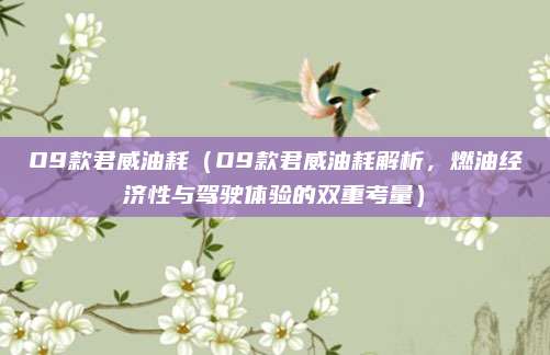 O9款君威油耗(O9款君威油耗解析,燃油经济性与驾驶体验的双重考量)