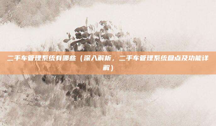 二手车管理系统有哪些(深入解析,二手车管理系统盘点及功能详解)