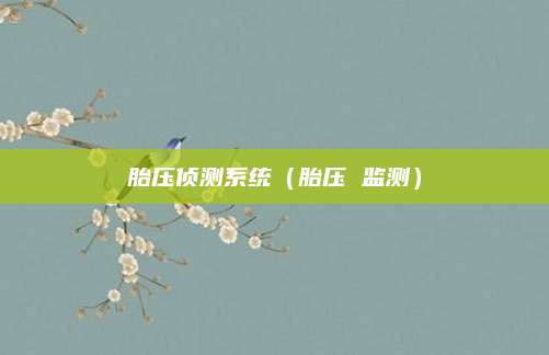 胎压侦测系统(胎压 监测)