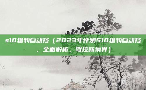s10猎豹自动挡(2023年评测S10猎豹自动挡,全面解析,驾控新境界)