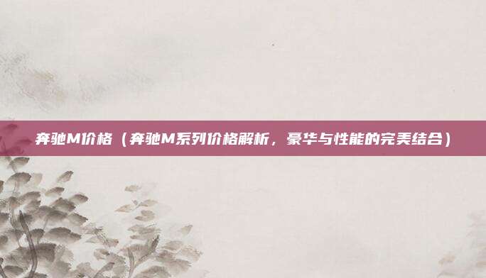 奔驰M价格(奔驰M系列价格解析,豪华与性能的完美结合)