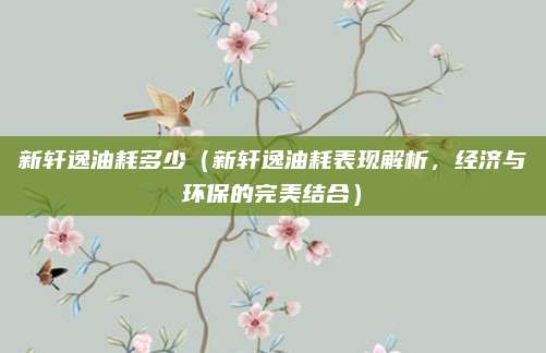 新轩逸油耗多少(新轩逸油耗表现解析,经济与环保的完美结合)