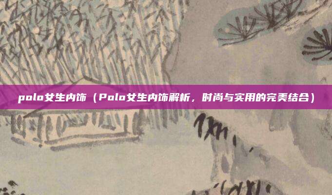 polo女生内饰(Polo女生内饰解析,时尚与实用的完美结合)