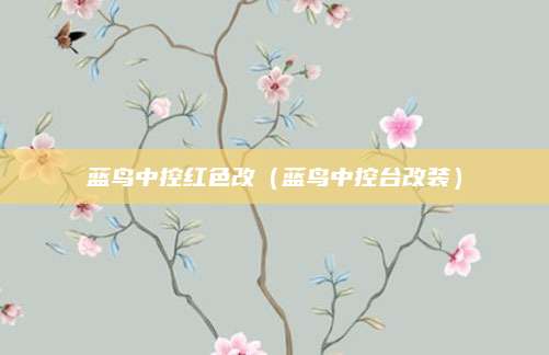 蓝鸟中控红色改(蓝鸟中控台改装)