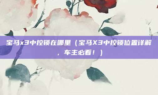 宝马x3中控锁在哪里(宝马X3中控锁位置详解,车主必看!)