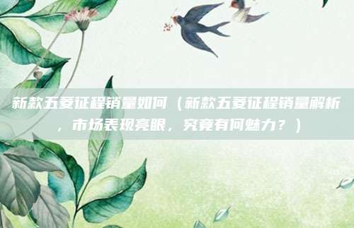 新款五菱征程销量如何(新款五菱征程销量解析,市场表现亮眼,究竟有何魅力?)