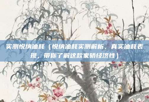 实测悦纳油耗(悦纳油耗实测解析,真实油耗表现,带你了解这款家轿经济性)