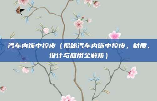 汽车内饰中控皮（揭秘汽车内饰中控皮，材质、设计与应用全解析）
