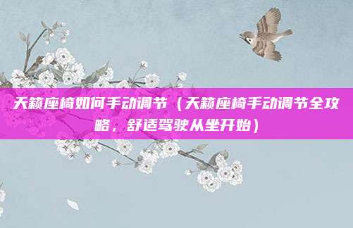 天籁座椅如何手动调节（天籁座椅手动调节全攻略，舒适驾驶从坐开始）