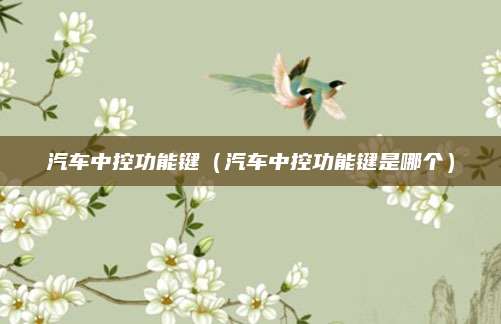 汽车中控功能键(汽车中控功能键是哪个)