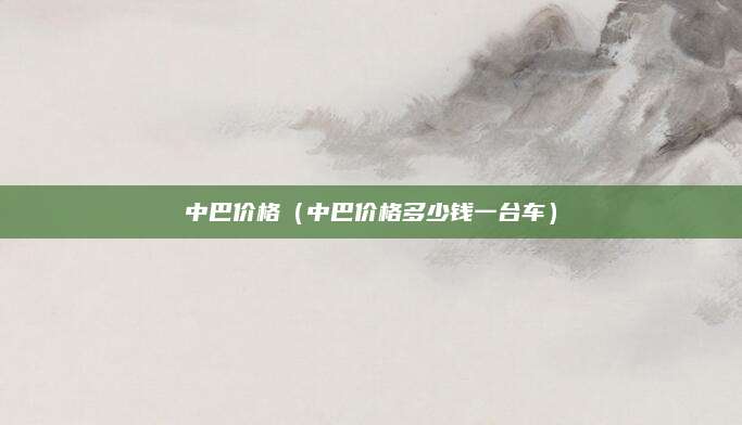 中巴价格(中巴价格多少钱一台车)