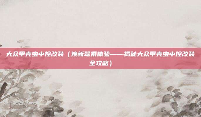 大众甲壳虫中控改装(焕新驾乘体验——揭秘大众甲壳虫中控改装全攻略)