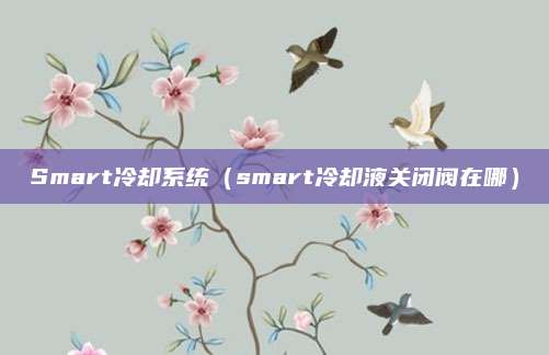 Smart冷却系统(smart冷却液关闭阀在哪)