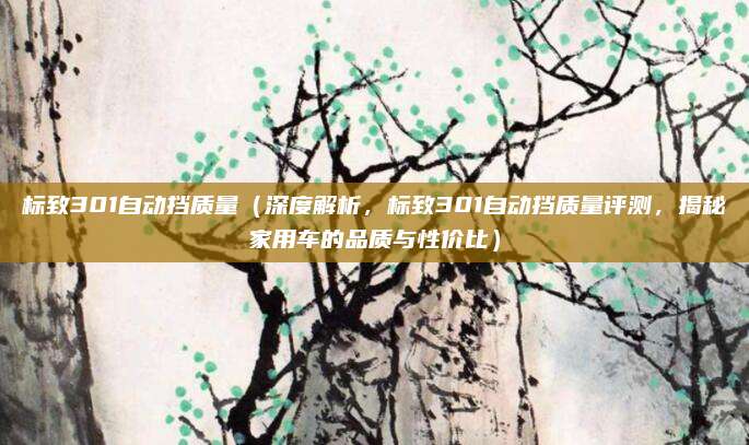 标致301自动挡质量(深度解析,标致301自动挡质量评测,揭秘家用车的品质与性价比)