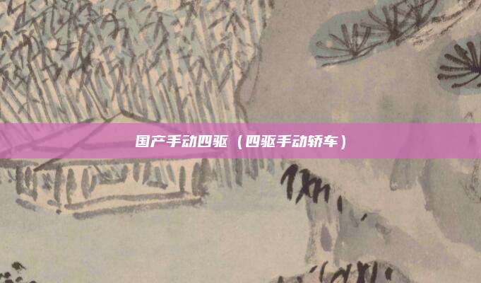 国产手动四驱(四驱手动轿车)