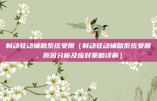 制动驻动辅助系统受限（制动驻动辅助系统受限，原因分析及应对策略详解）