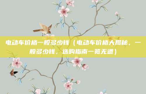 电动车价格一般多少钱(电动车价格大揭秘,一般多少钱,选购指南一览无遗)