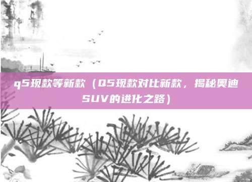 q5现款等新款（Q5现款对比新款，揭秘奥迪SUV的进化之路）