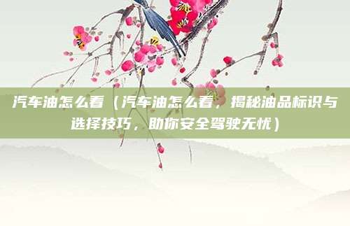 汽车油怎么看(汽车油怎么看,揭秘油品标识与选择技巧,助你安全驾驶无忧)